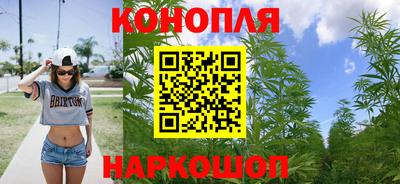 стафф Славгород