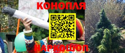 ПСИЛОЦИБИНОВЫЕ ГРИБЫ Славянск-на-Кубани
