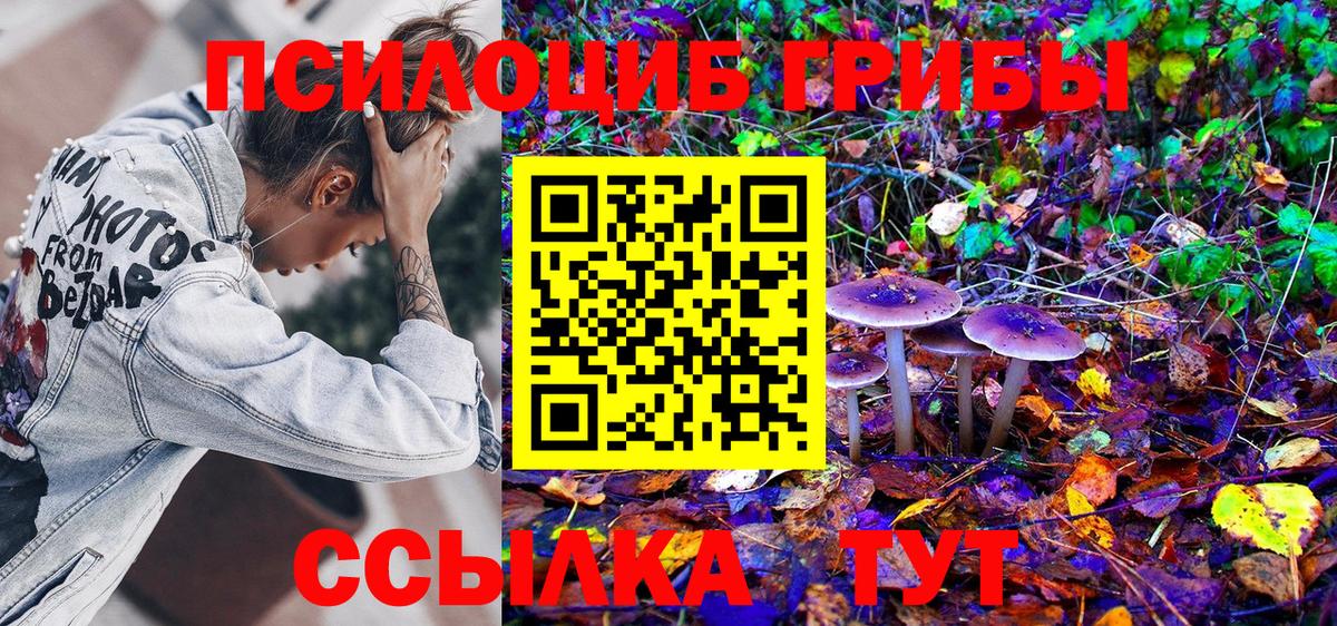 Псилоцибиновые грибы мицелий  Вход с VPN  Новошахтинск 